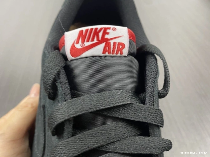 Air Jordan SoleFly DN3400-001 Low Carnivore x 1 0805